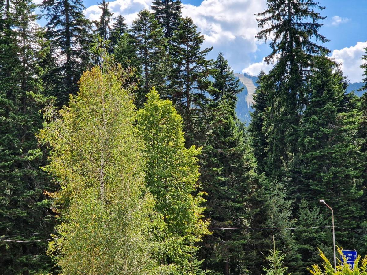 Sunny Apartment C25 Borovets Exteriör bild